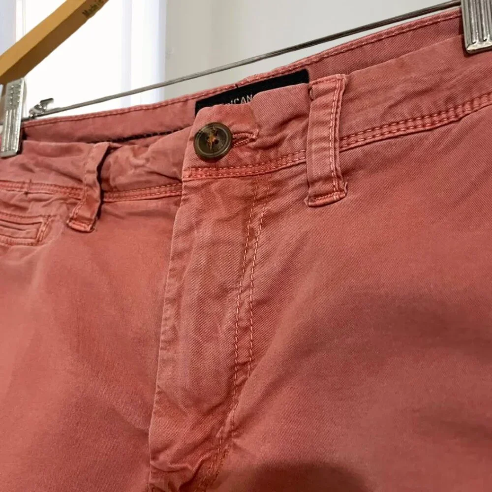 2 for $20 American Eagle Extreme Flex Mens Shorts Size 30 Stretch Comfort Casual - Picture 6 of 16